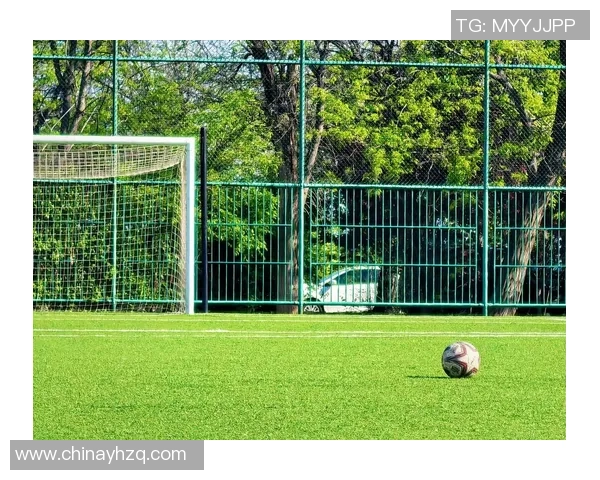 42号球星足球：探索他如何在绿茵场上书写传奇与荣耀